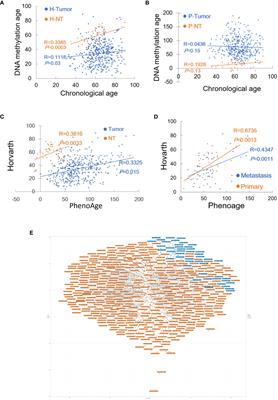 High DNA methylation age deceleration defines an aggressive phenotype with immunoexclusion environments in endometrial carcinoma